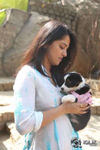 Anushka-at-Blue-Cross-Pet-Carnival-2014